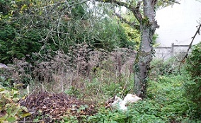 procédure d'acquisition des biens vacants et sans maître